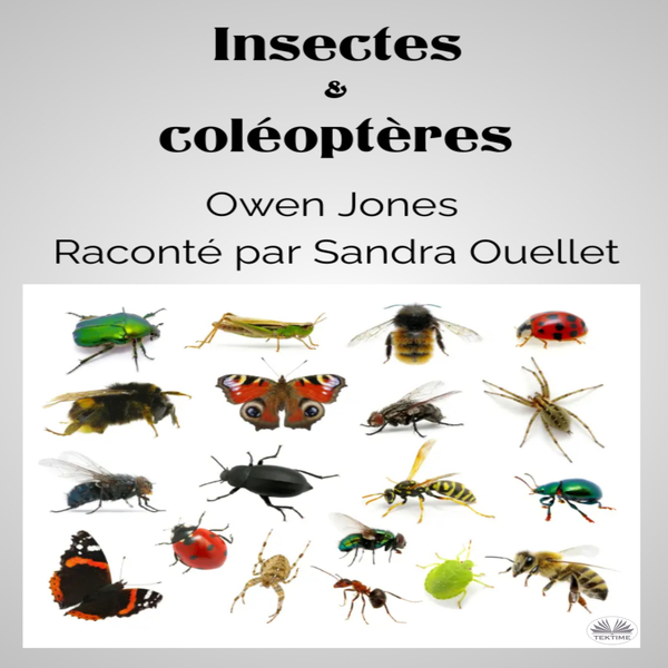 Insectes Et Coléoptères written by Owen Jones and narrated by Sandra Ouellet 